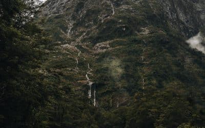 Pet-friendly Campervan Rentals in NZ